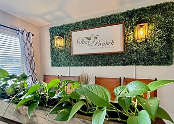 Denton Marriage Counselors Beau Davis, M.MFT, LMFT - OLIVE BRANCH FAMILY THERAPY