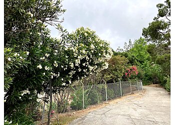 Glendale Hiking Trails Beaudry Loop Trail