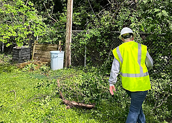 Beaumont Tree Services Beaumont Tree Service