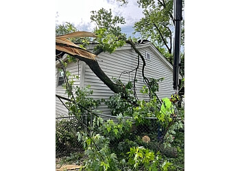 Beaumont Tree Service in Beaumont ThreeBestRated