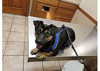 Beaumont Veterinary Clinics Beaumont West Animal Care