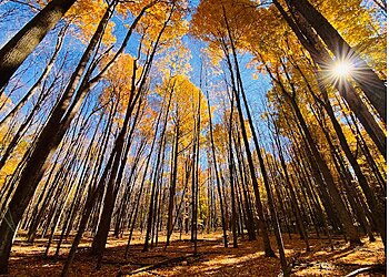 Syracuse Hiking Trails Beaver Lake Nature Center