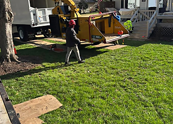 Newport News Tree Services Beaver Tree Services LLC