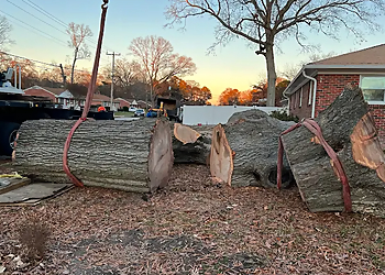 Newport News Tree Services Beaver Tree Services LLC