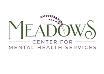 Rochester Marriage Counselors Becky Bunke, MSW, LICSW - MEADOWS CENTER FOR MENTAL HEALTH SERVICES