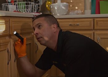 Thornton Pest Control Companies Bee Smart Pest Control