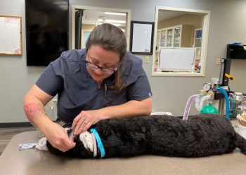 Cincinnati Veterinary Clinics Beechmont Pet Hospital