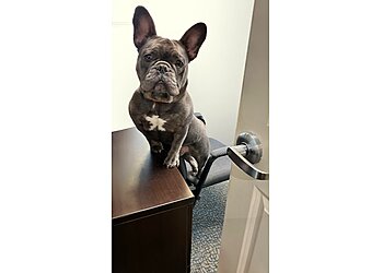 Cincinnati Veterinary Clinics Beechmont Pet Hospital