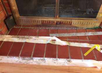 Aurora Pest Control Companies Beeline Pest Control