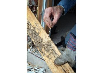 Aurora Pest Control Companies Beeline Pest Control