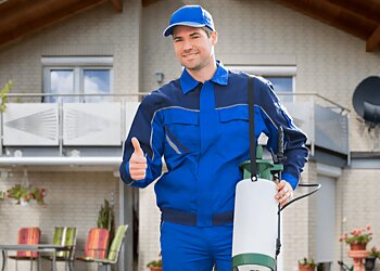 West Valley City Pest Control Companies Beeline Pest Control