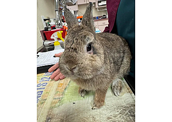 Clearwater Veterinary Clinics Belcher Animal Clinic