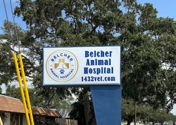 Belcher Animal Clinic Clearwater Veterinary Clinics