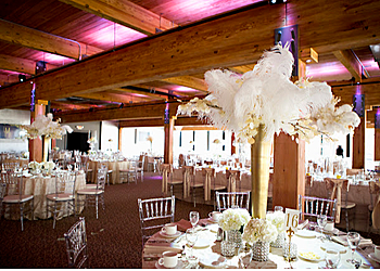 St Paul Wedding Planners Bellagala
