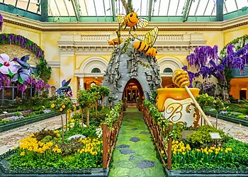Las Vegas Places To See Bellagio Conservatory & Botanical Gardens