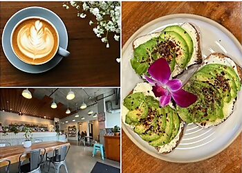 Bellevue Cafe Bellden Cafe