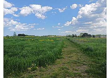 Boston Hiking Trails Belle Isle Marsh Reservation