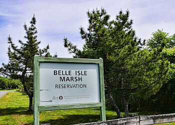 Belle Isle Marsh Reservation Boston Hiking Trails