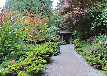 Bellevue Places To See Bellevue Botanical Garden