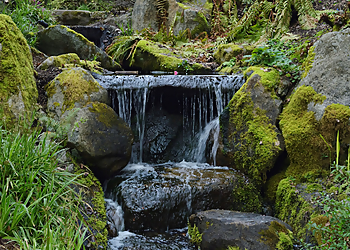 Bellevue Places To See Bellevue Botanical Garden