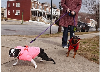 Belltown Dog Walker - Seattle, WA Dog Walkers - Service Image