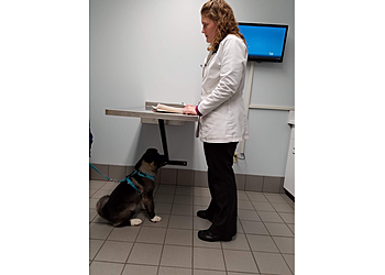 Rockford Veterinary Clinics Bellwood Animal Hospital
