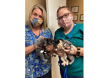 Jacksonville Veterinary Clinics Beltway Animal Hospital