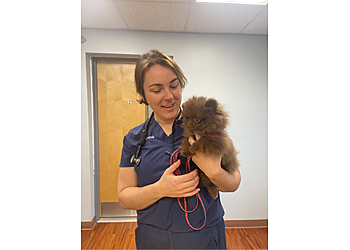 Lowell Veterinary Clinics Belvidere Veterinary Hospital
