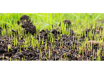 Benjamin Lawn & Landscape - Kansas City, KS Lawn Care Services - Service Image