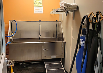 Savannah Pet Grooming Bentley's Pet Stuff