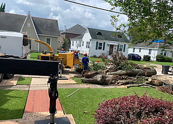 Benton Tree Service - New Orleans, LA Tree Services - Team Working Image