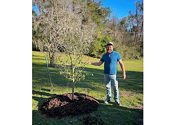 Benton Tree Service - New Orleans, LA Tree Services - Service Image