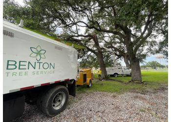 Benton Tree Service New Orleans Tree Services