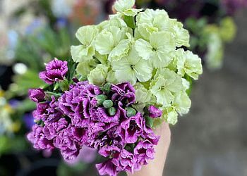 Miami Florists Berkeley Florist Supply