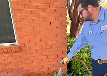 Dallas Pest Control Companies Berrett Home Services