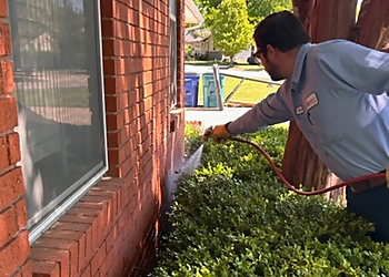 Denver Pest Control Companies Berrett Pest Control Denver