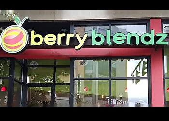 Columbus Juice Bars Berry Blendz