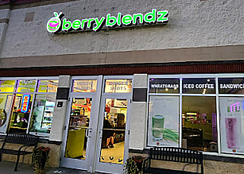 Rochester Juice Bars Berry Blendz