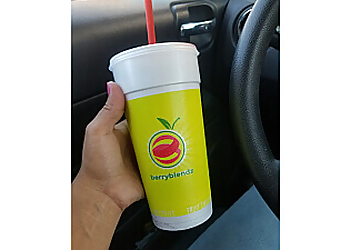 Thornton Juice Bars Berry Blendz