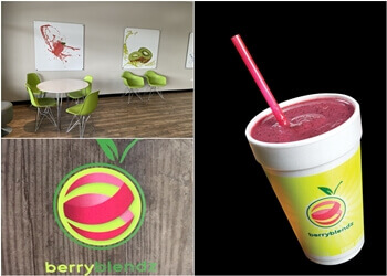 Thornton Juice Bars Berry Blendz