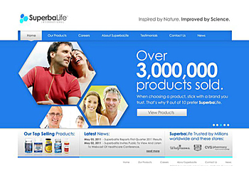 Ontario Web Designers Bertino Designs