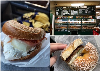 Knoxville Bagel Shops Best Bagels & Deli