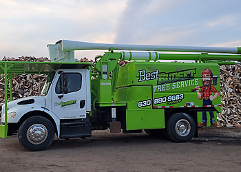 Best Budget Tree Service Firewood & Mulch Joliet Tree Services image 1