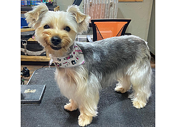 Winston Salem Pet Grooming Best Friendz Too