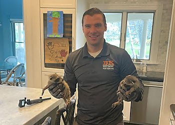 Lowell Pest Control Companies Best Known Pest & Wildlife