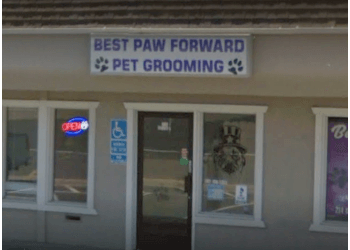 Roseville pet grooming Best Paw Forward Pet Grooming