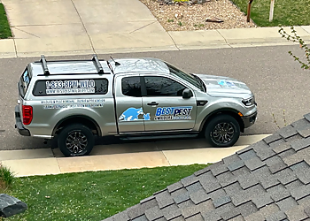 Lakewood Animal Removal Best Pest and Wildlife Control Colorado