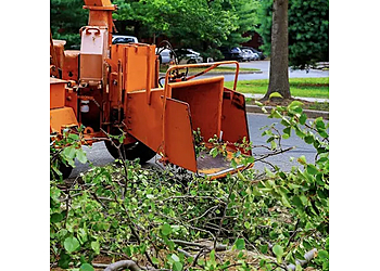 Abilene Tree Services Best Tree Service Pros LLC