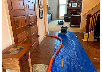 Best Way Carpet Cleaning In Ann Arbor Threebestrated Com