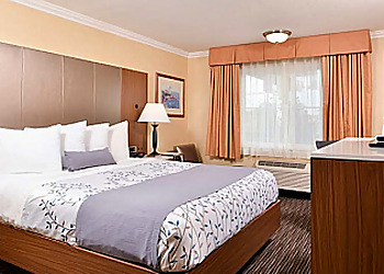 Inglewood Hotels Best Western Airpark Hotel-Los Angeles Lax Airport